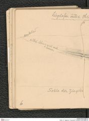 Seite 13, Tagebuch "Inzersdorf" (NHMW-PRAE-BBB-24)